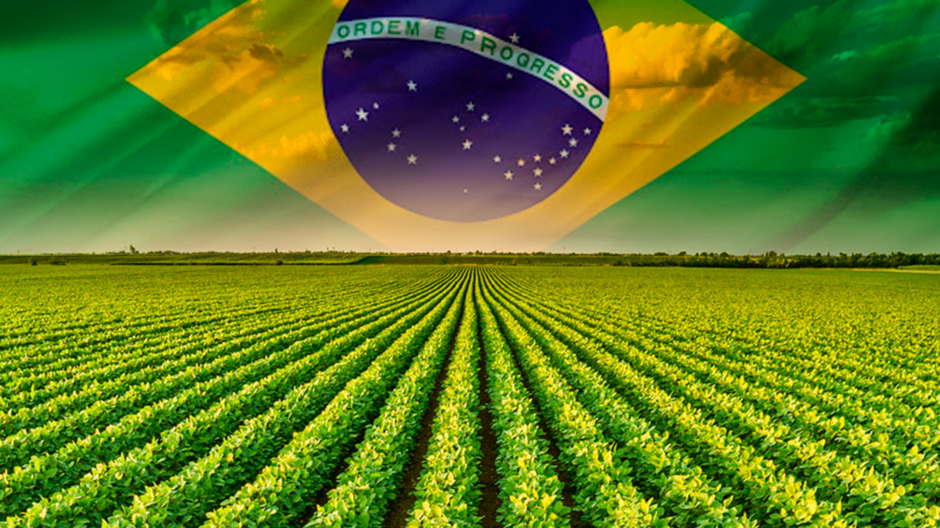 Brasil está entre países que mais reduzem impacto ambiental do agronegócio, diz Ipea